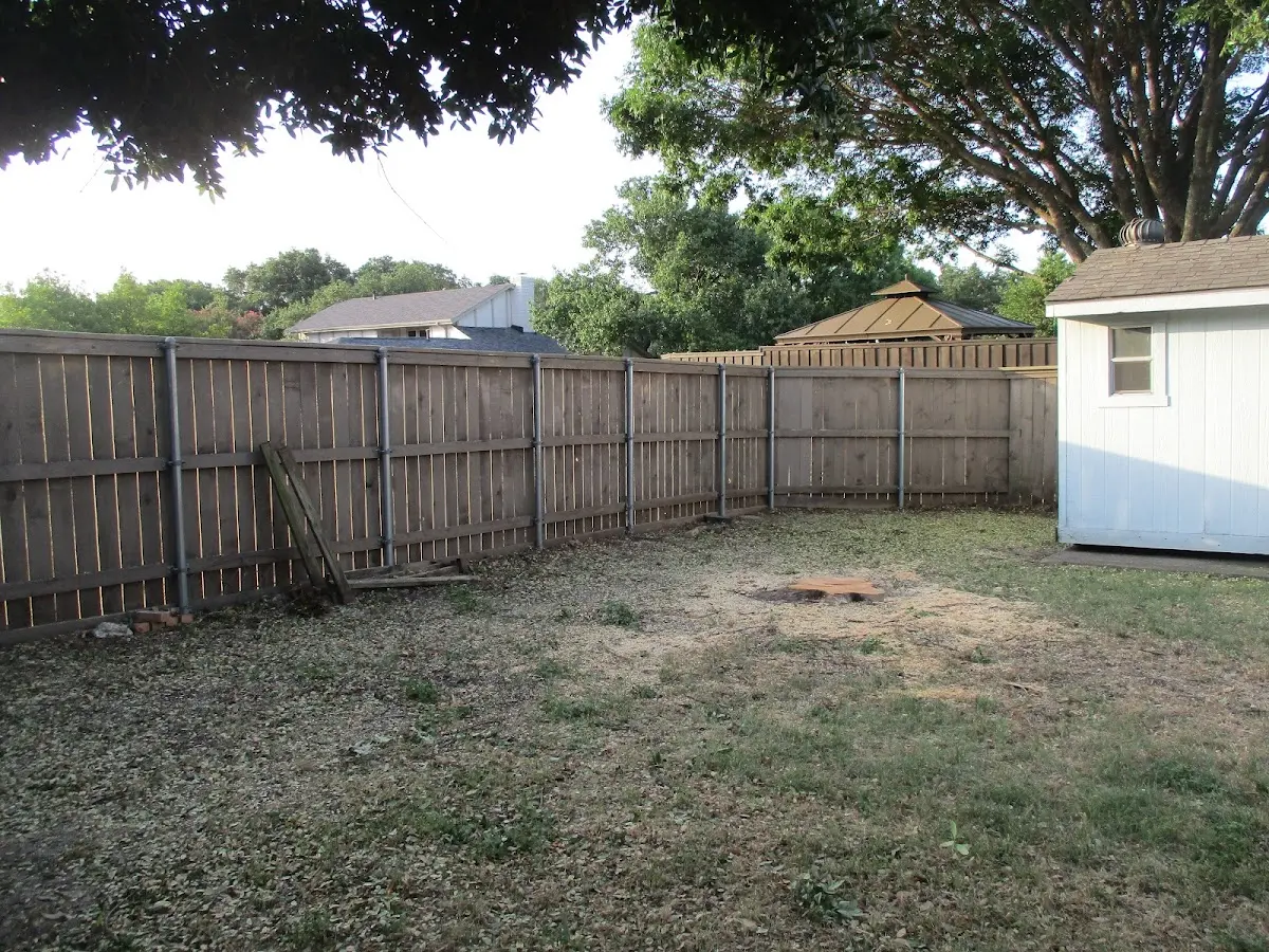 Cleared yard after professional tree removal in Texola